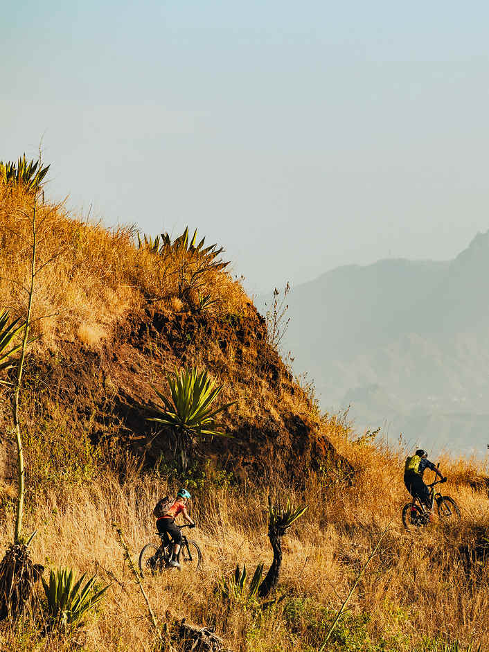 Jenseits der 23 Grad