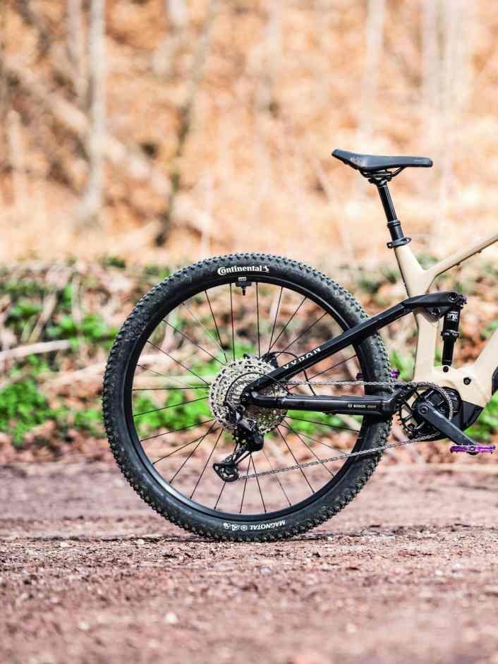 E-MTB Touren-Profi zum fairen Preis