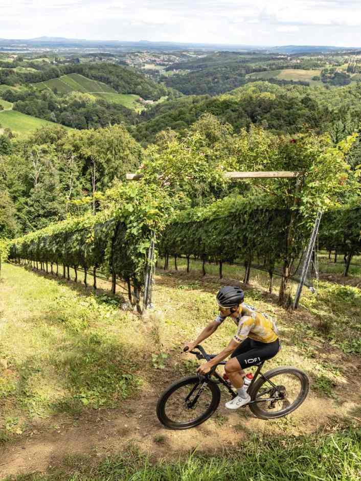 Gravelbike-Touren zwischen Weinbergen