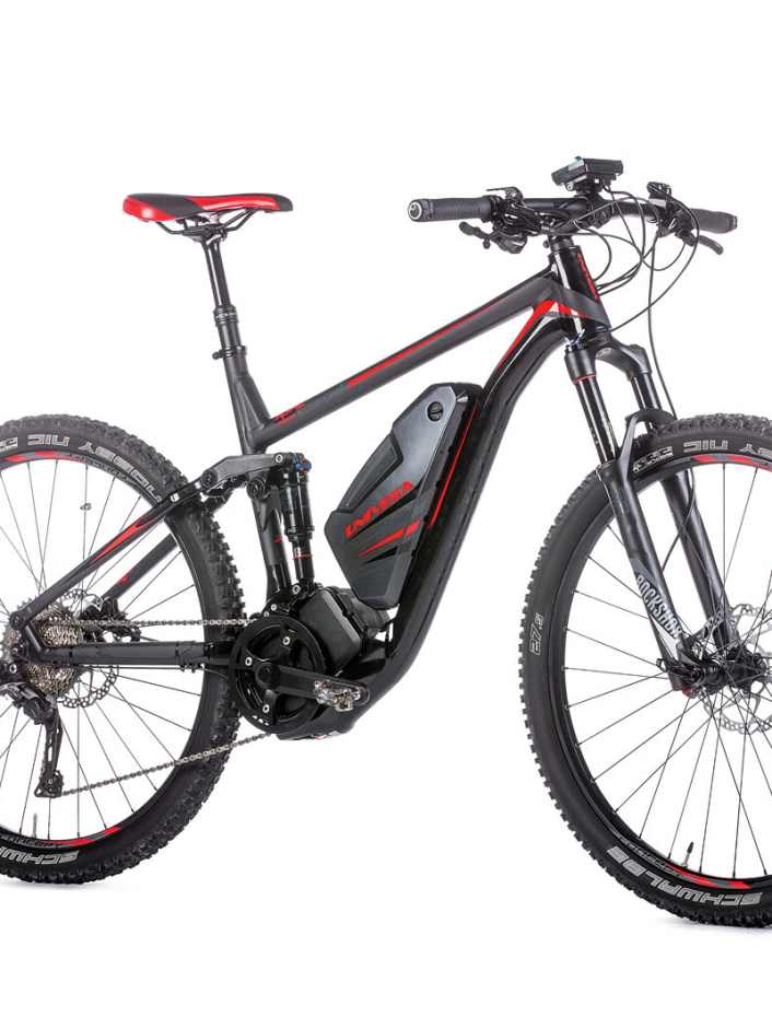 Univega Renegade E 3.0 im Test