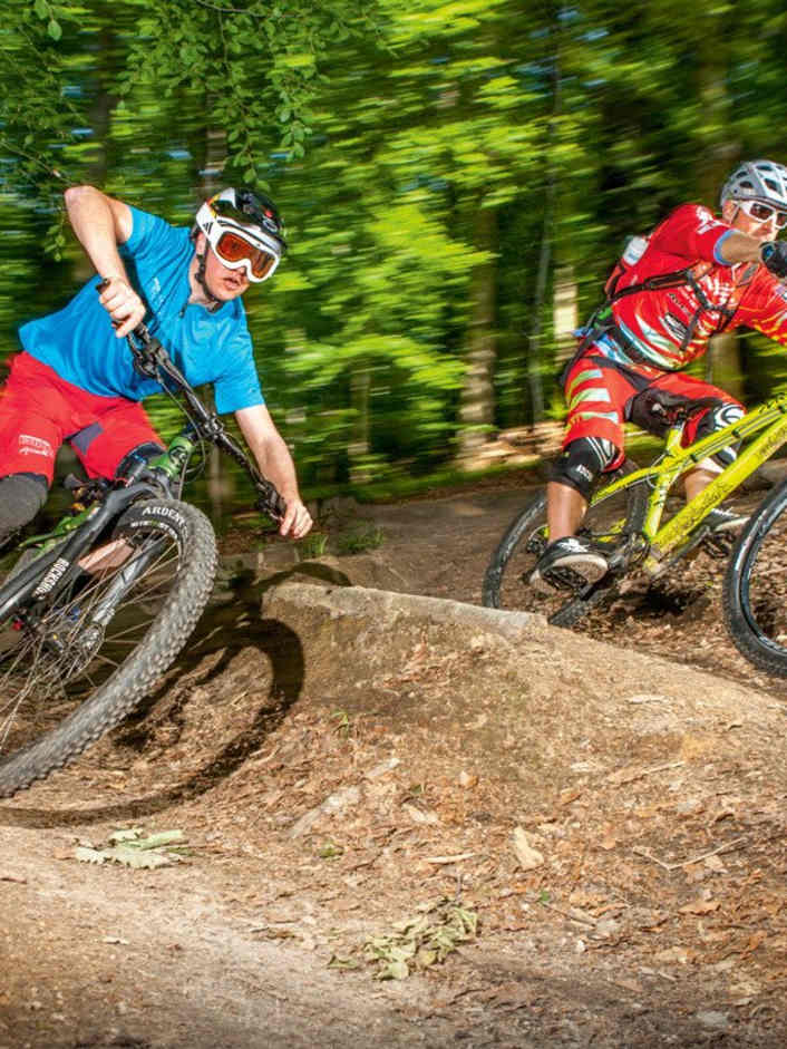 4 Hardtails im Systemvergleich