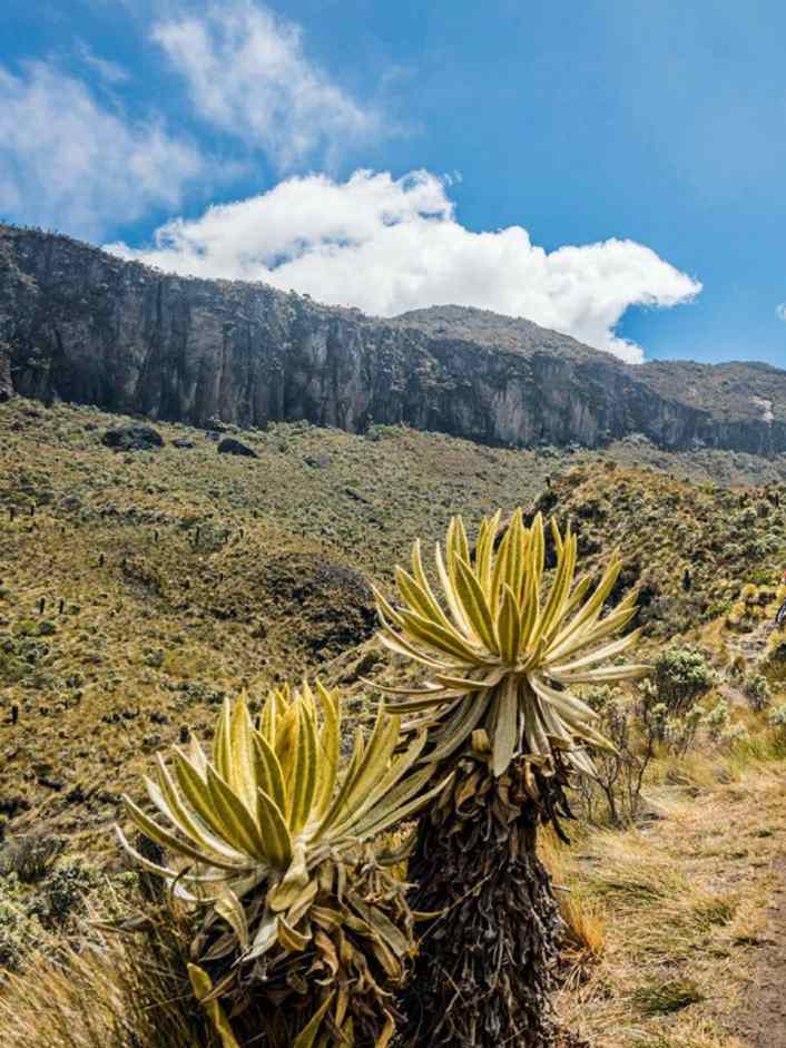 Entdeckungs-Reise in Südamerika