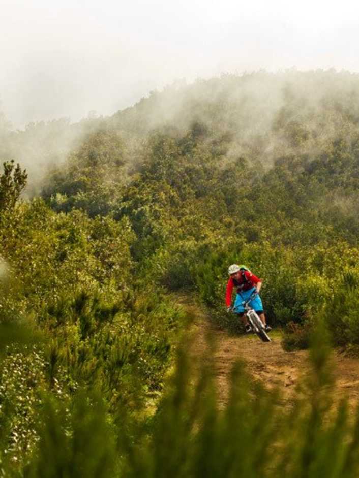 La Palma