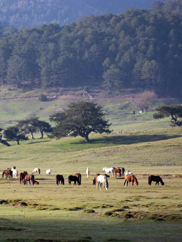 Das Taurus Mountain Race im Oktober