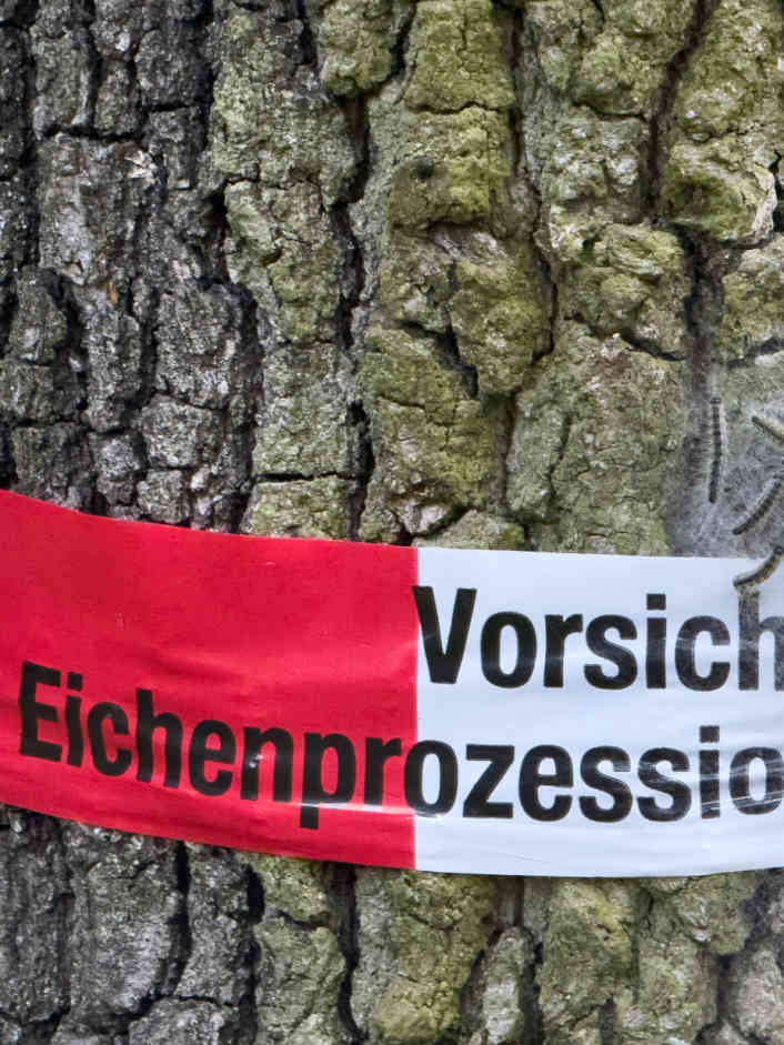 Achtung, die Raupen kommen!