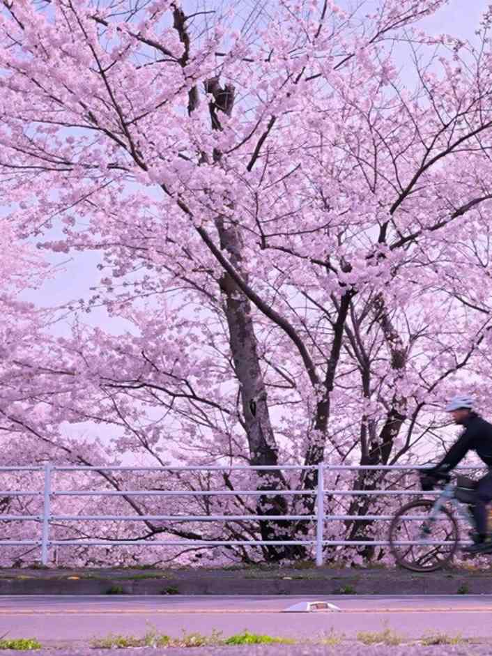 Von der Tour de France der Frauen in den 80ern bis ins echte Kurierleben