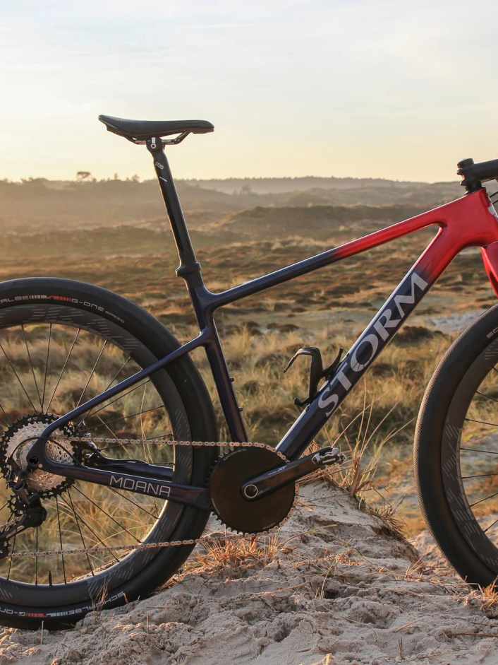Storm Bikes Moana