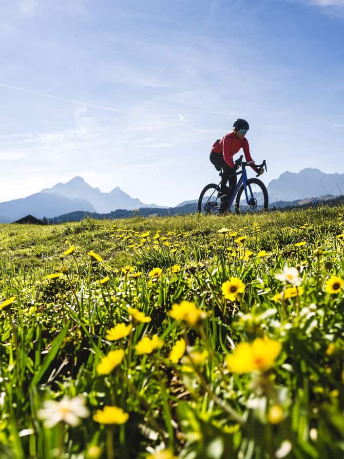 Prüfe Kette und Ritzel des Antriebsstrangs auf Verschleiß