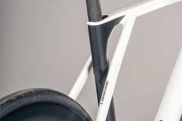 Das Lapierre Xelius DRS 8.0 im Test