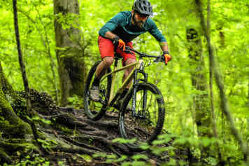 Trail-Hardtail im Test