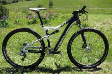 Cannondale Scalpel in 29 Zoll