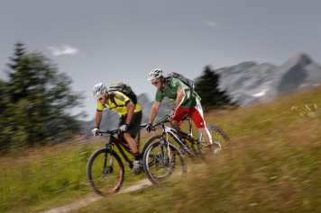 Scott Genius 910 gegen Specialized S-Works Stumpjumper FSR Carbon 29
