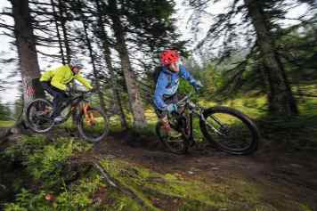Specialized Epic Evo vs. Cube AMS 100 TM