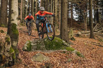 10 Enduro- und All-Mountain-Gabeln im Vergleich