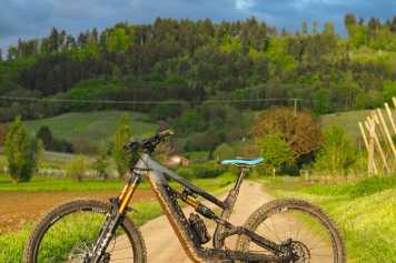 Canyon Torque:ON 9