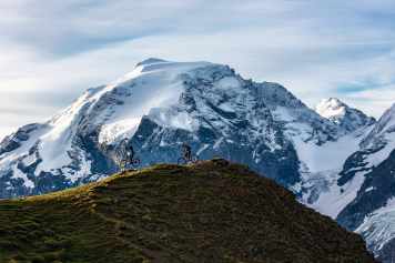 Das Trail-Revier zwischen Ortler und Ofenpass