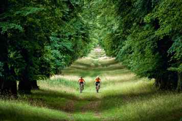 Mountainbike-Touren rund um Bad Salzdetfurth