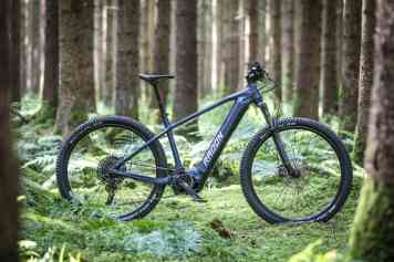 Radon Jealous Hybrid 9.0 750 im Test