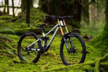 Downhill-Bike mit verstellbaren Ausfallenden