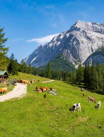 55.000 Mountainbiker waren 2024 im Karwendel unterwegs