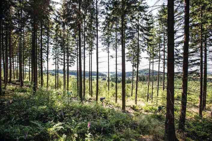 Das Sauerland
