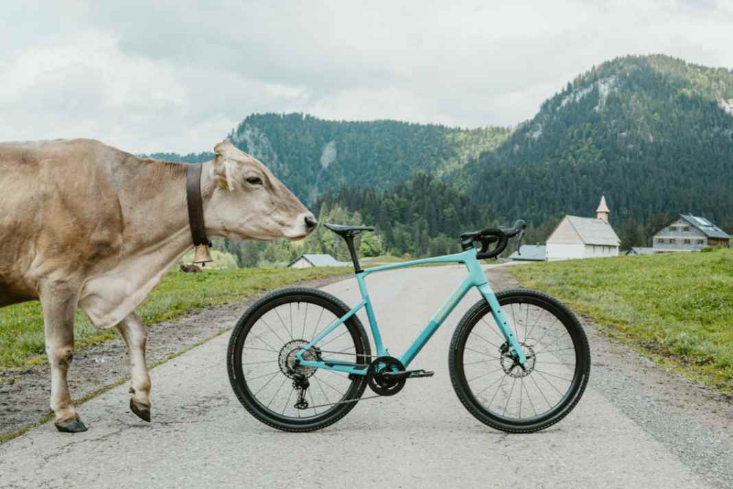 Simplon GRID :eLight: für Tour & Alltag