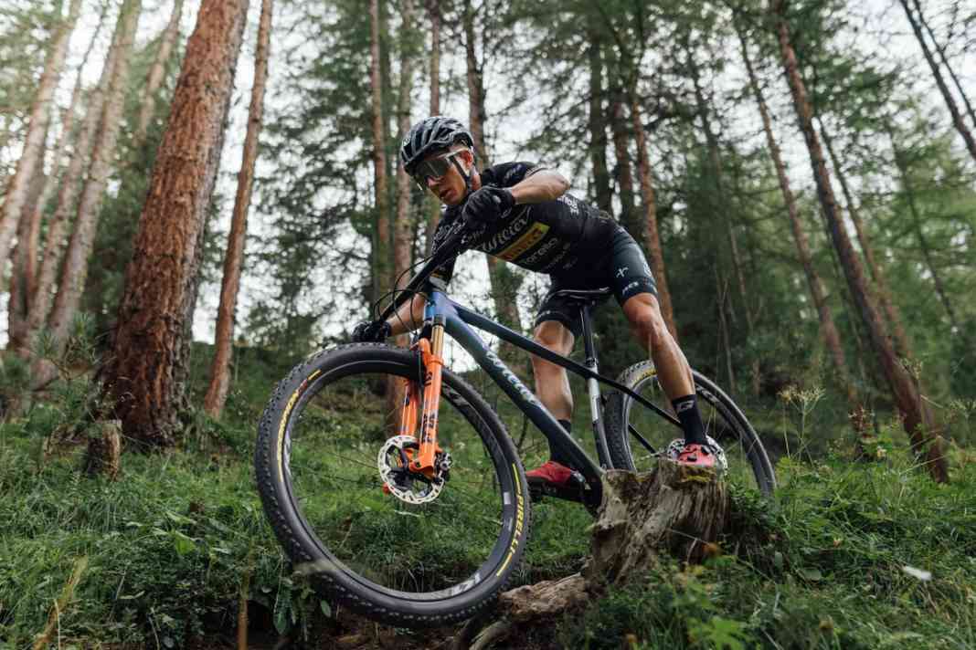 Wilier USMA SLR Race-Hardtail