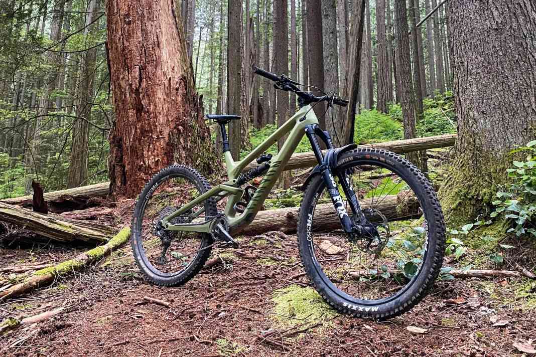 Canyon Torque Mullet CF 8