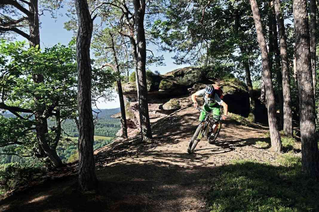 2 Singletrails für E-MTB Touren im Pfälzerwald