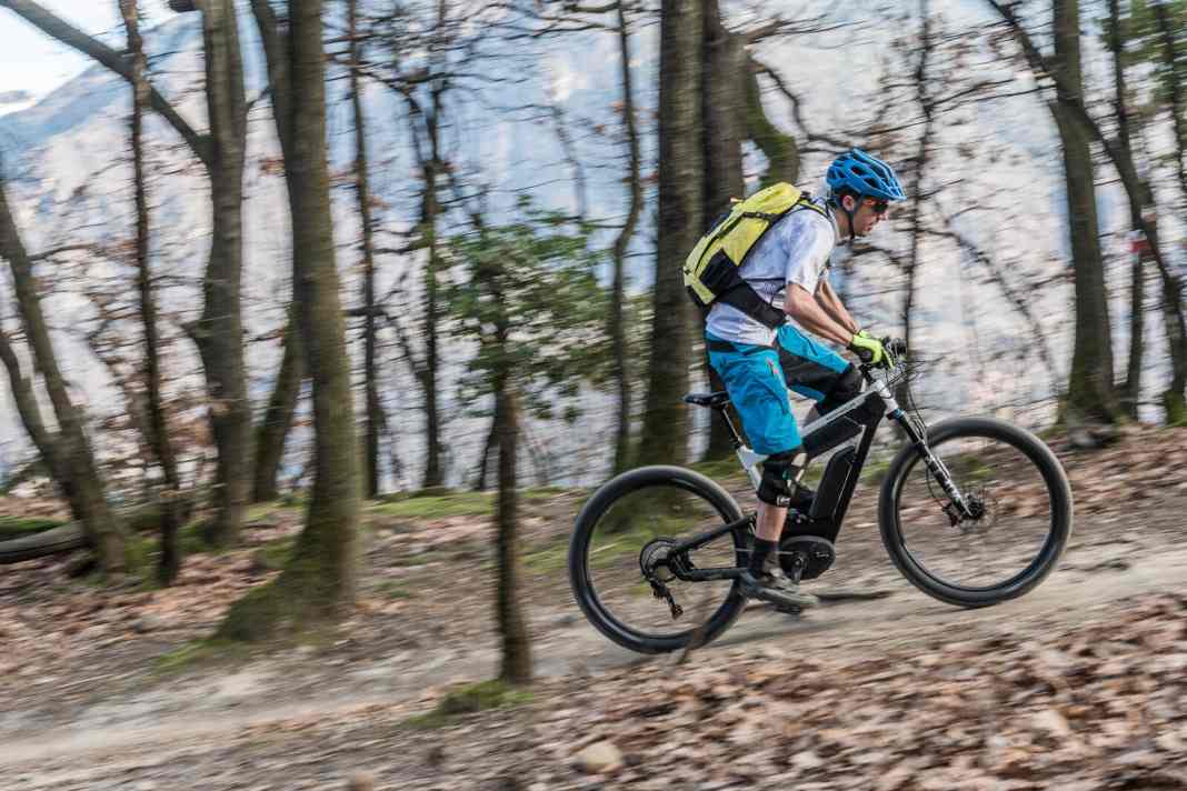 Transalp-Bike Riese & Müller Delite Mountain im Test