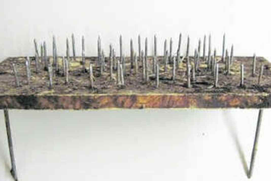 Gefährliche Falle für Mountainbiker im Wald aufgebaut