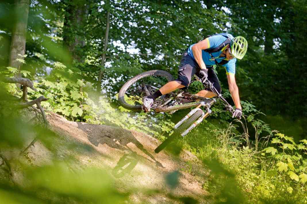 Trek Rumblefish Pro