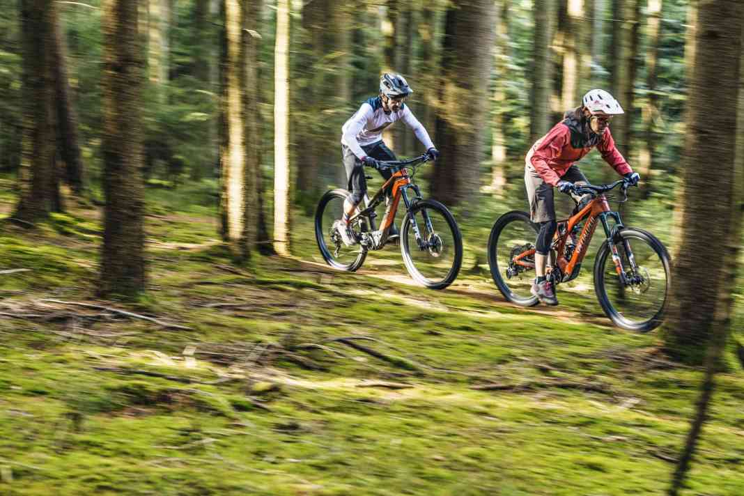 3 leichte Trailbikes im Vergleich