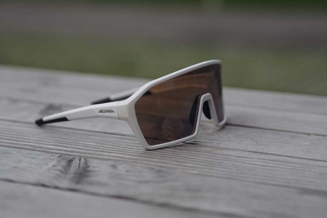 Brille Alpina RAM HVLM+ im Test