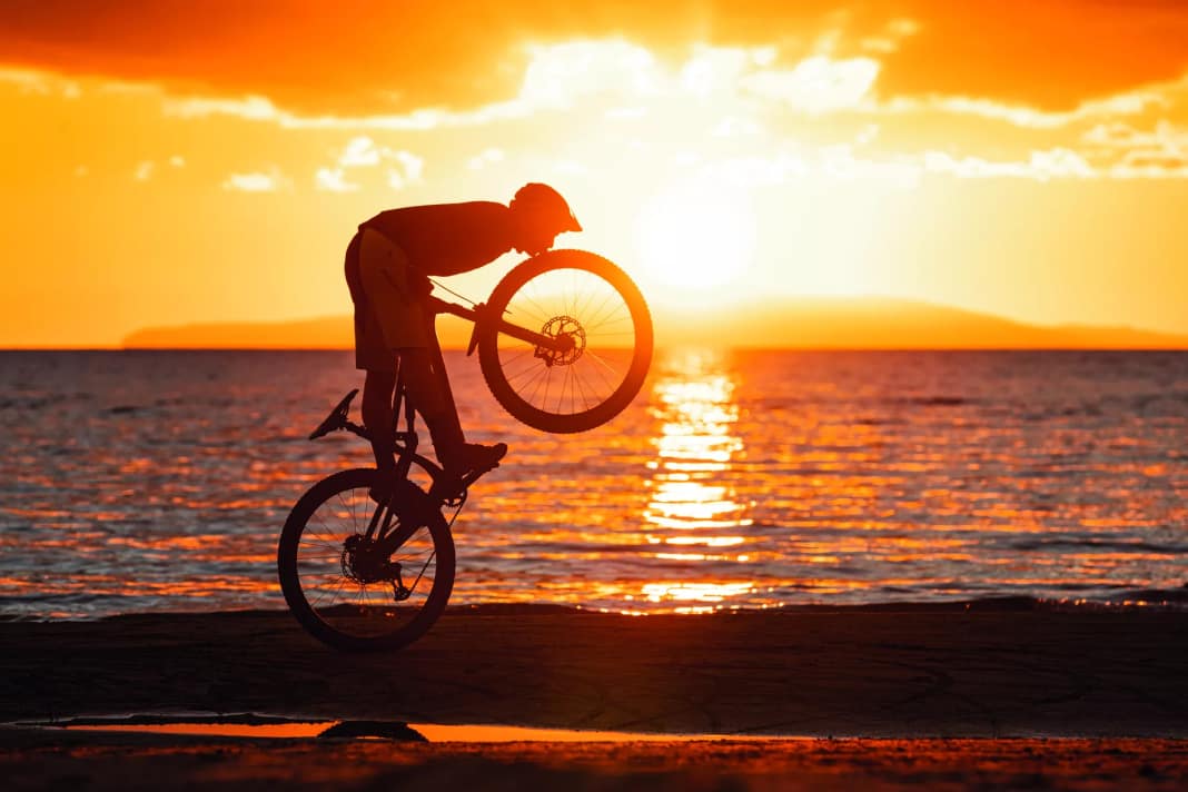 Was sind die besten Modelle für Trailbikes?