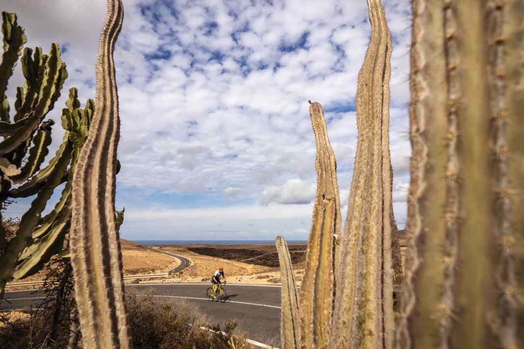 Vier Rennrad-Touren auf Fuerteventura