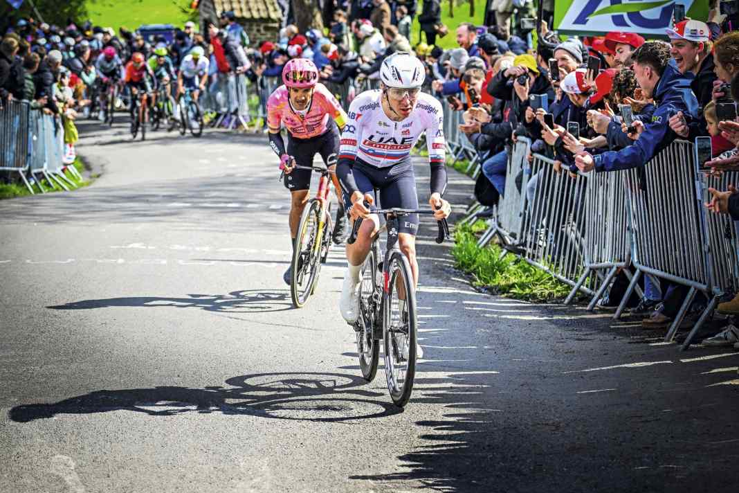 Pogačar und van der Poel kaum zu schlagen