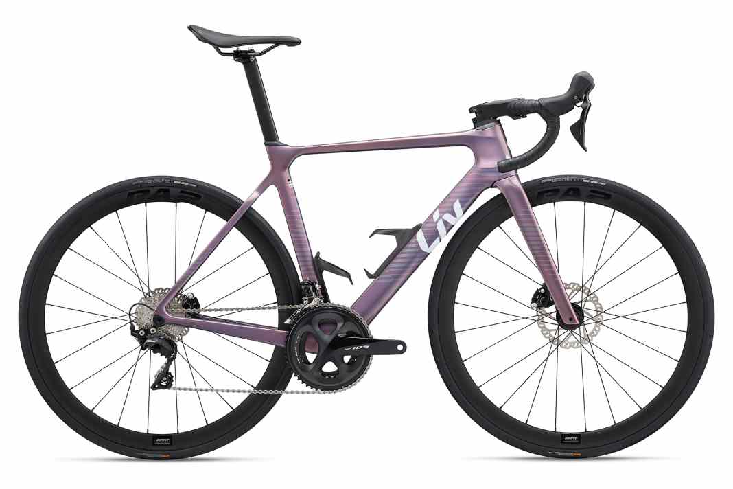 Top-Technik für Vollblut-Sportlerinnen