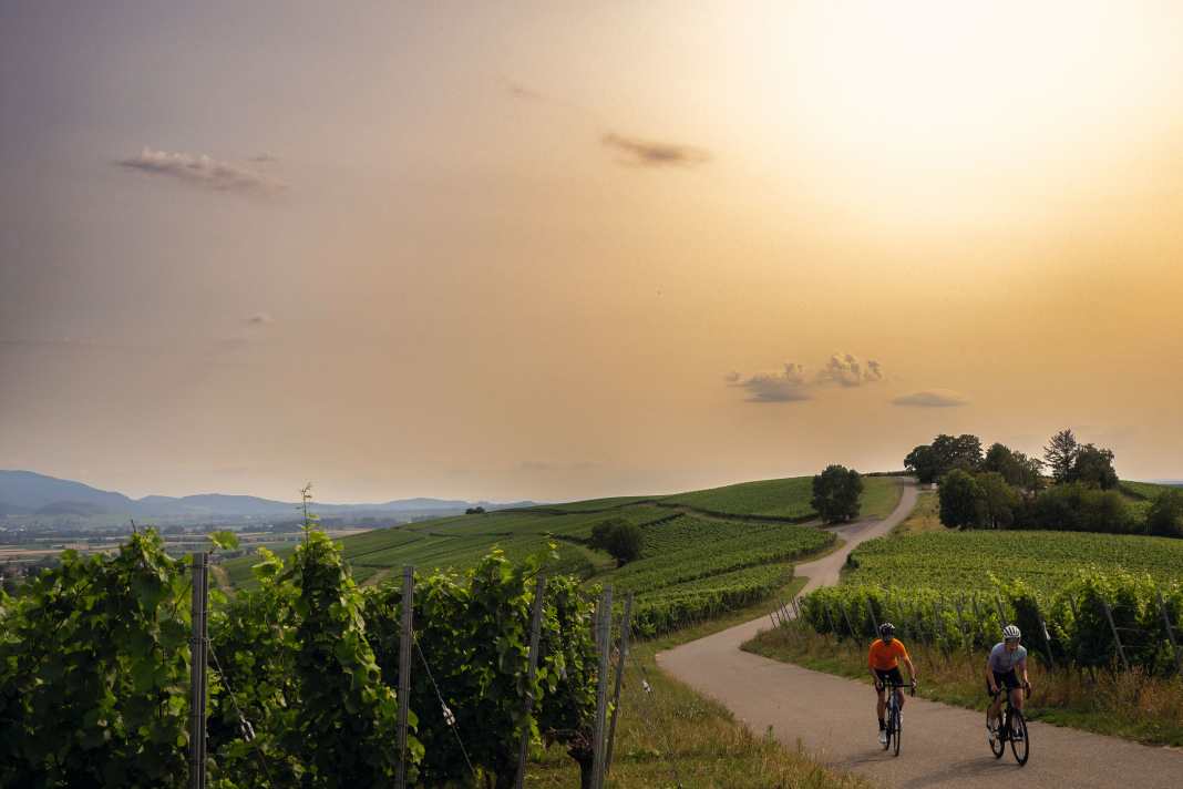 Rennradtouren in den Weinbergen südlich von Freiburg