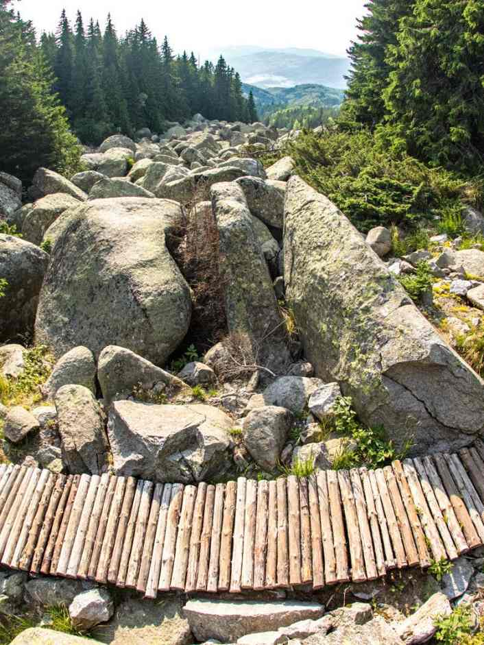 Wilde MTB Trails im Witoscha-Gebirge
