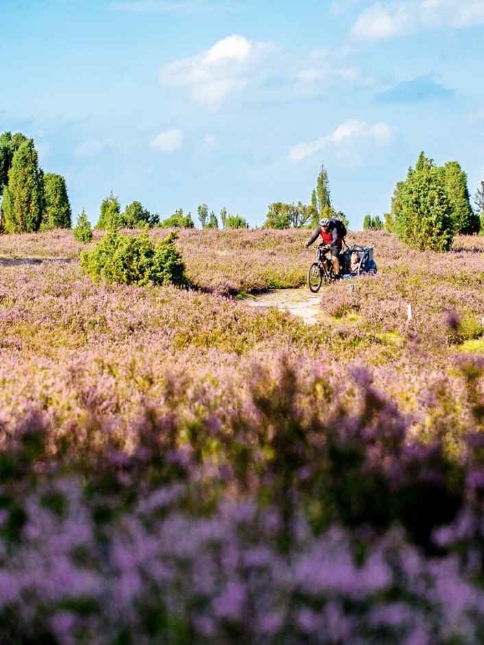 Biken mit Kind