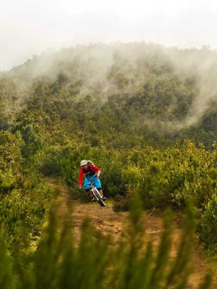 La Palma