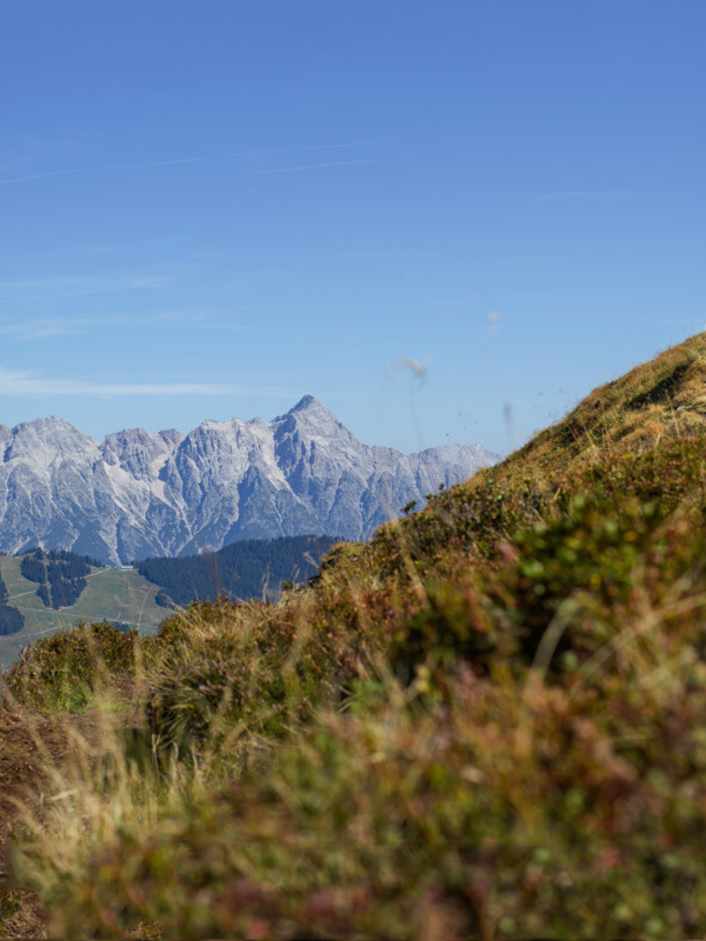 Bergstadl Supertrail