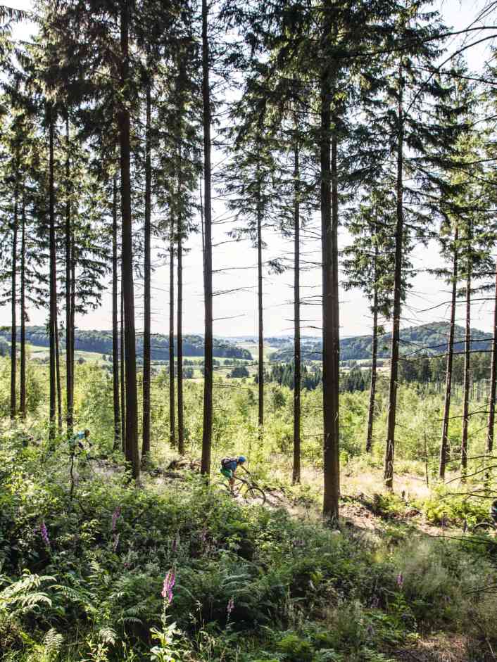 Das Sauerland