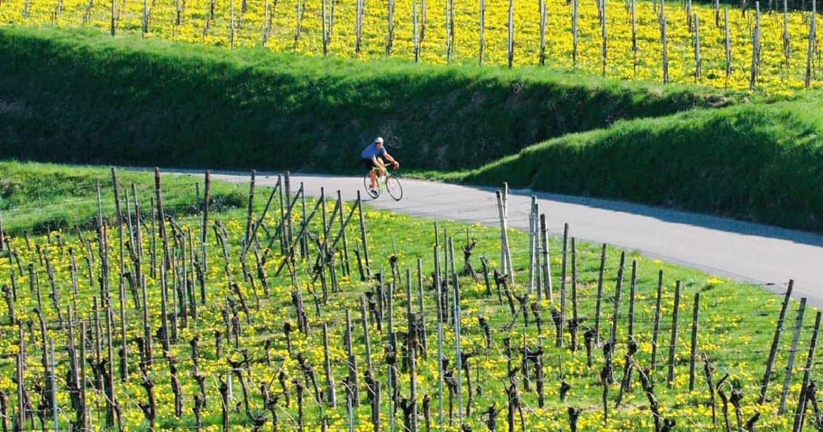 Deutschland Kaiserstuhl TOUR