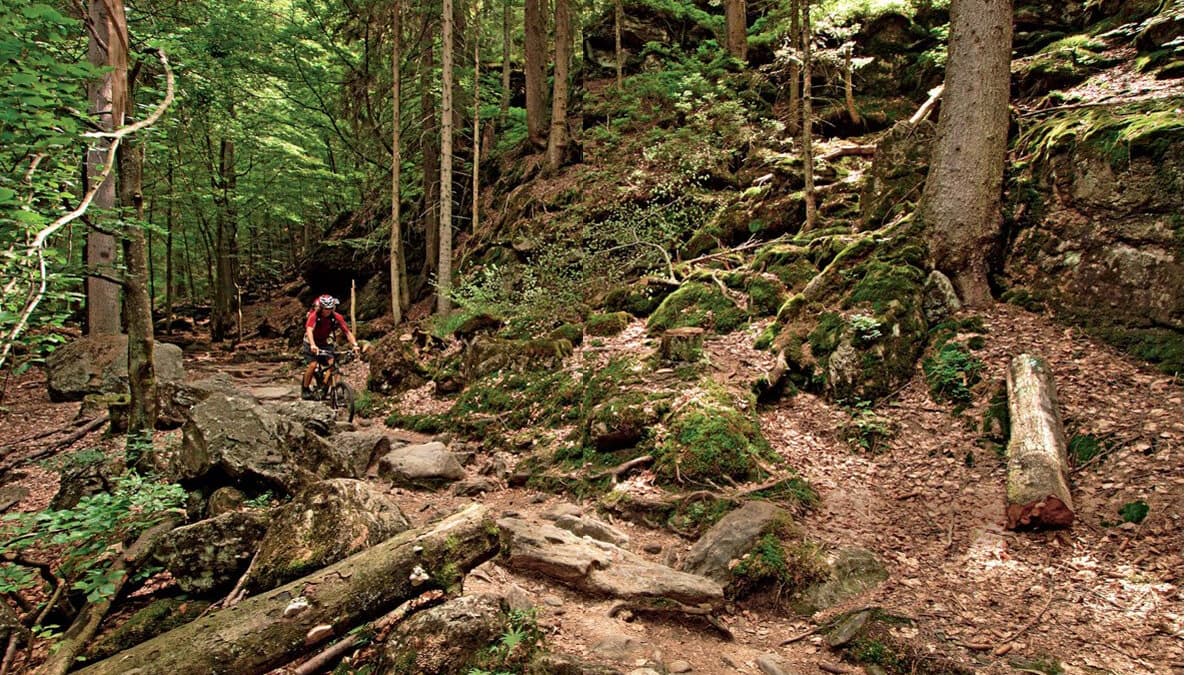 Germany: Bavarian Forest | BIKE