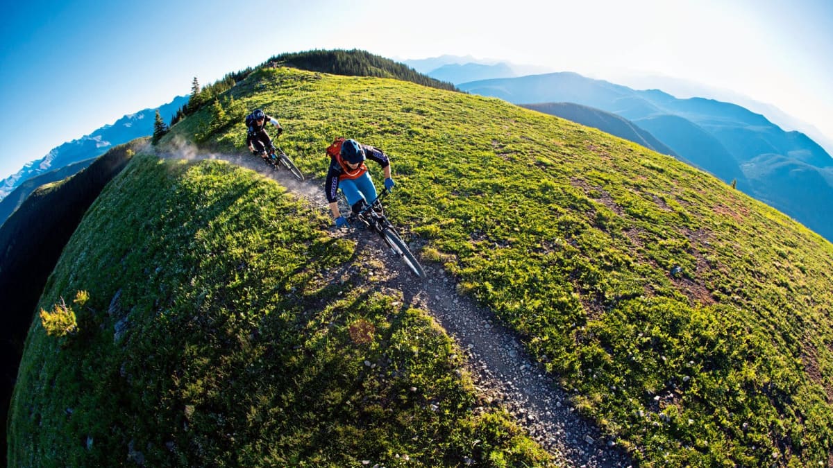 MTB beginners: The way to the right bike | BIKE