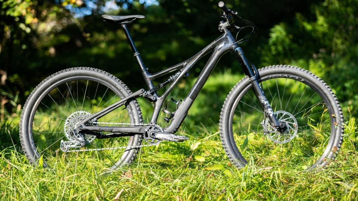 Stumpy 2021: Mehr Spaß dank Downsizing | BIKE