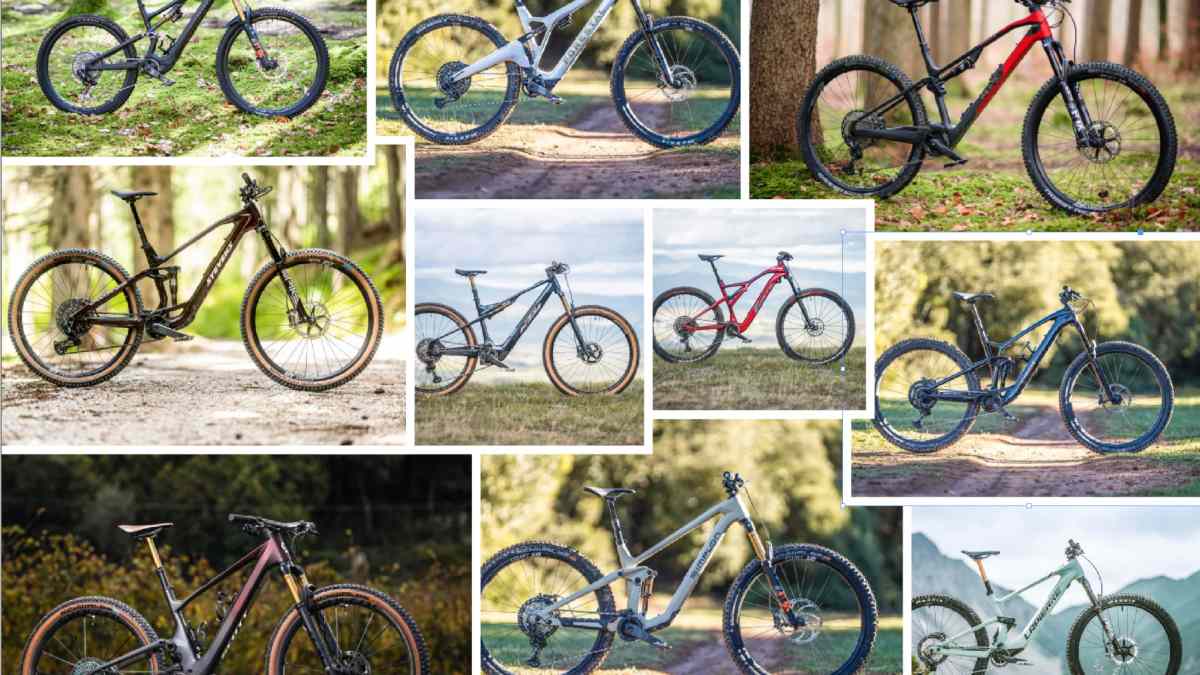 Die leichtesten E-MTBs: Top 10 Light-E-Mountainbikes 2023 | BIKE