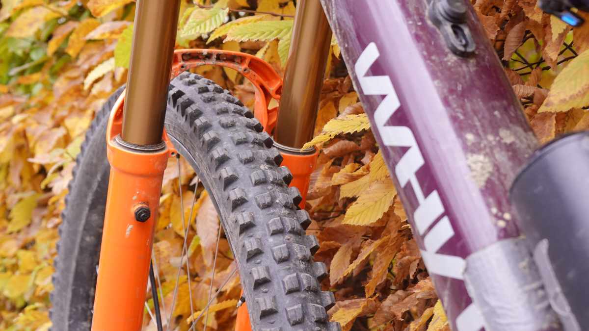 VITTORIA TERRENO XC RACE 29x2.25 Pneumatico Graphene 2.0 Tubeless Read